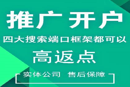 互联网公司SEM代运营成功案例剖析